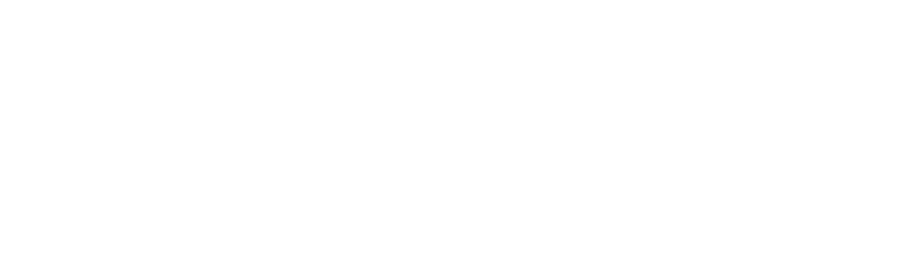 Vaccess Logo